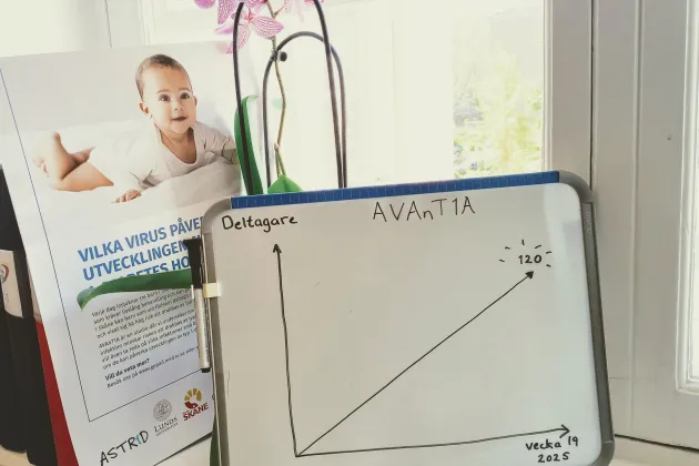 Whiteboard med uppåtgående kurva som visar antalet deltagare i AVAnT1A. Bild.