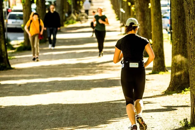 Personer som joggar i en trädallé. Foto.