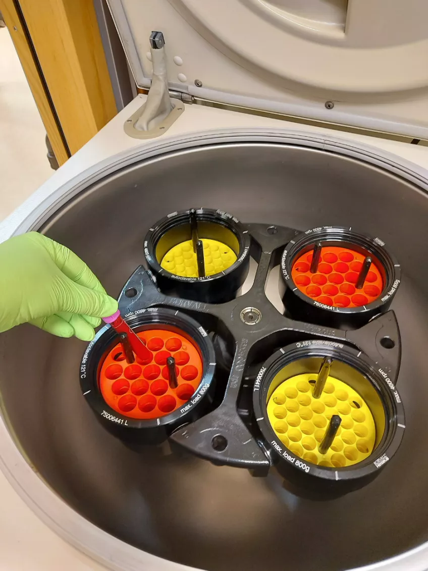En hand stoppar ned ett provrör med blod i ett av hålen i centrifugen. Foto.